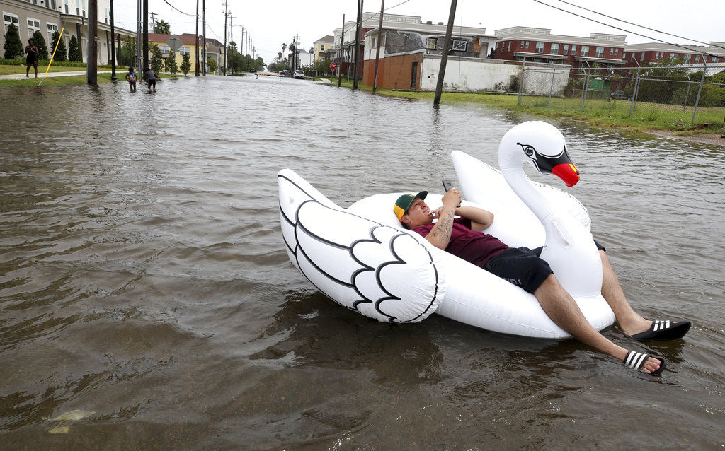 Harvey